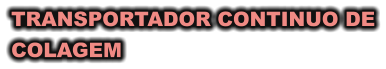 TRANSPORTADOR CONTINUO DE COLAGEM